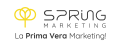 Logo-SPRING-GRIGIO-GIALLO